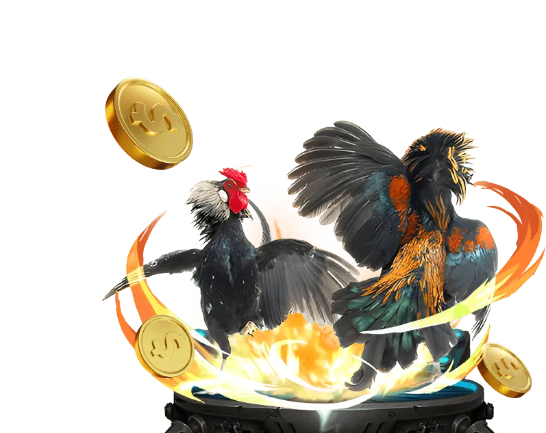 Tổng quan trung tâm tài nguyên AE888